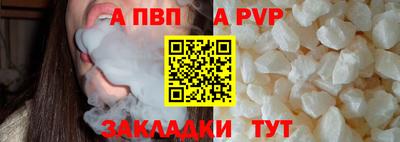 ешки Кингисепп
