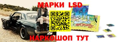 шишки Кимры