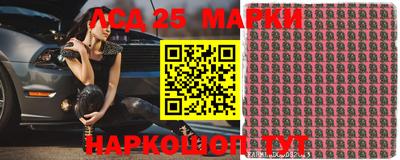 шишки Кимры
