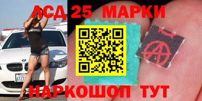 ешки Кингисепп