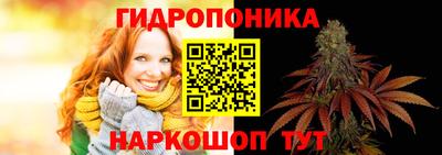ешки Кингисепп