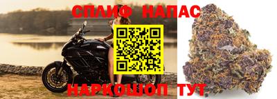 ешки Кингисепп