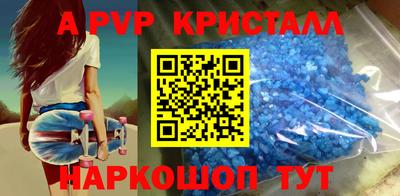 ешки Кингисепп