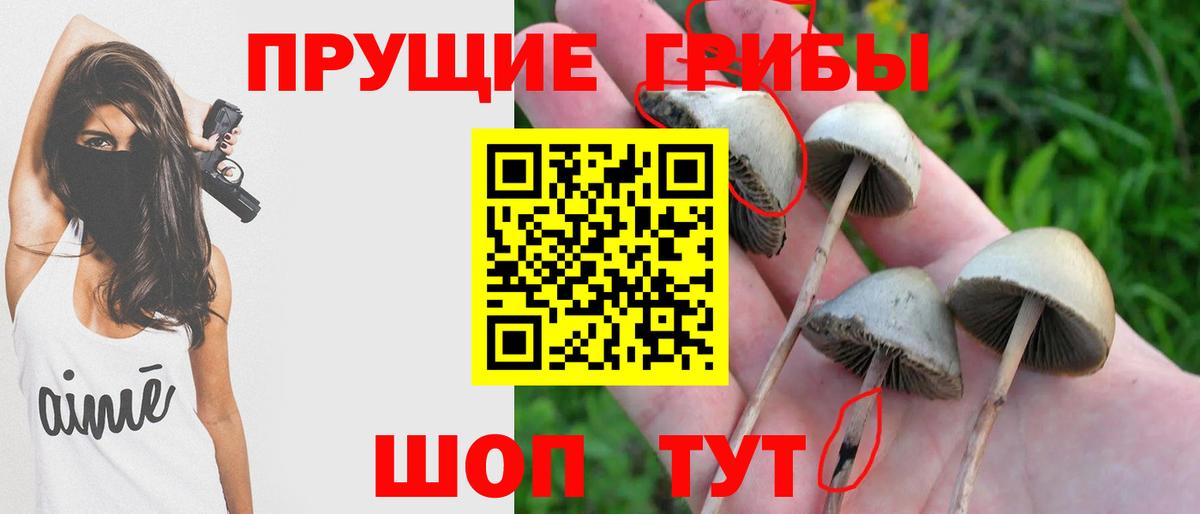Галлюциногенные грибы GOLDEN TEACHER Элиста