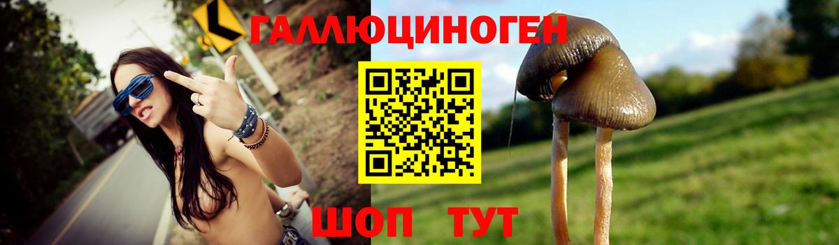 Псилоцибиновые грибы Magic Shrooms  Псилоцибиновые грибы MAGIC MUSHROOMS  Элиста  Вход с VPN 
