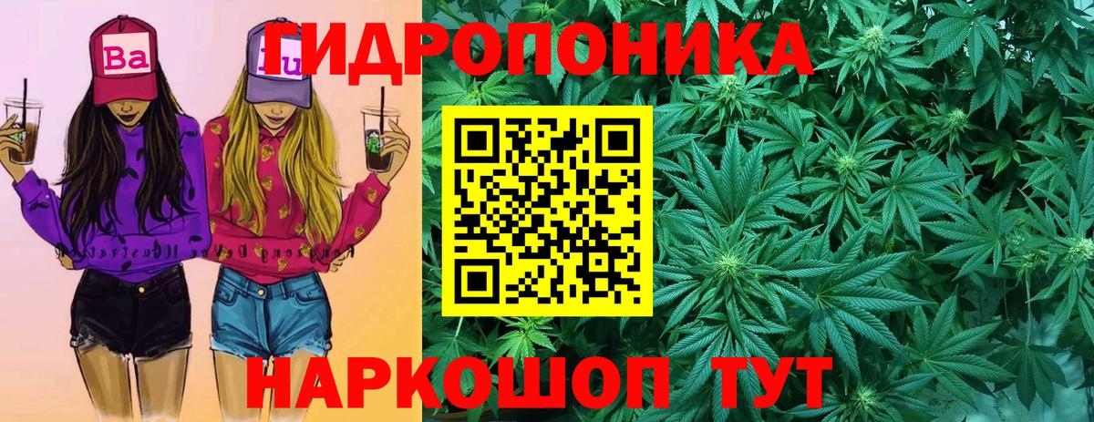 Конопля AK-47  Вход с VPN  Шишки марихуана семена  Конопля THC 21%  Элиста 